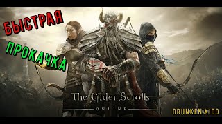 Teso.Быстрая прокачка в The Elder Scrolls Online в 2024.