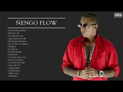 Ñengo Flow - Mix Sus Mejores Exitos