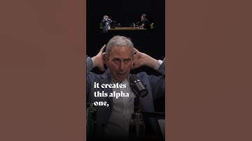 How Meditation Maintains The Health Of Your Brain | Bob Roth X Rich Roll