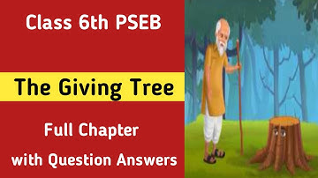 class 6 english lesson 4 the giving tree questions and answers question answer activities pseb 6th
