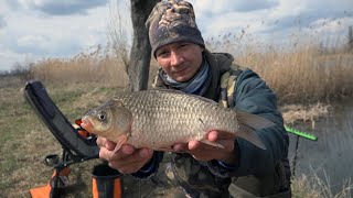 видео: ВЕСНА 2021 РЫБАЛКА НА КАРАСЯ, ЛОВЛЯ НА ФИДЕР НА ДИКОМ ВОДОЁМЕ картинка: ВЕСНА 2021 РЫБАЛКА НА КАРАСЯ, ЛОВЛЯ НА ФИДЕР НА ДИКОМ ВОДОЁМЕ