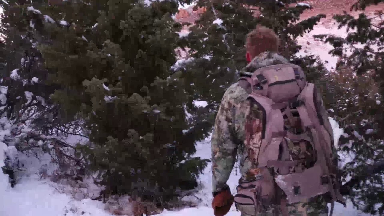 Elk Hunt Utah Muzzleloader 400 Plus Yard Shot YouTube elk-hunt-utah-muzzleloader-400-plus-yard-shot-youtube