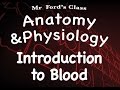Understanding Blood and the Cardiovascular System