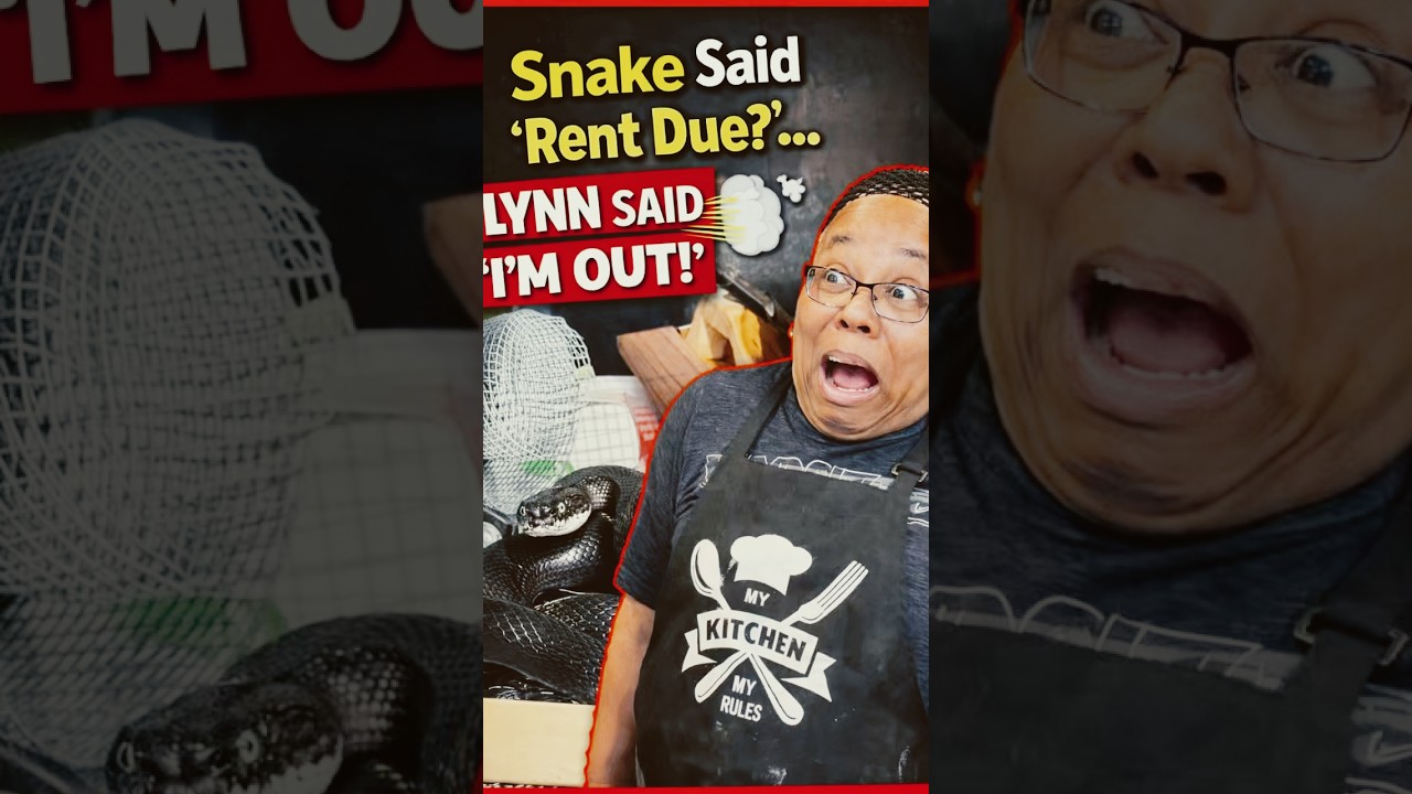 “Snake Said ‘Rent Due?’… Lynn Said ‘I’M OUT!’ 🐍💨” #shorts #funny
