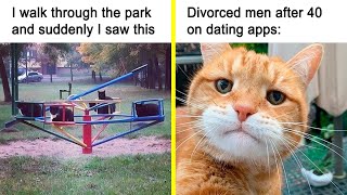 The Best Cat Posts, Jokes, And Memes
