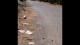Supir Garut punya cerita