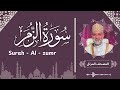 سورة الزمر   تلاوة حسن صالح                                          نجومي