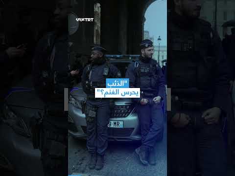 سخرية من استعانة متحف اللوفر بشركة إسرائيلية لاستعادة المسروقات