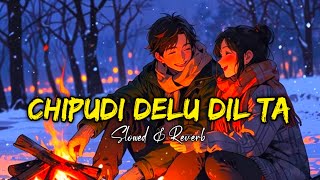 Chipudi Delu Dil Ta | Slowed Reverb Odia Lofi Song | Humane Sagar & Odisha Lofi Music 🎵