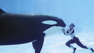 Tillikum and SeaWorld 1 Death 💀