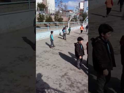Velet kavkası