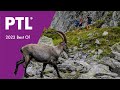 Utmb montblanc 2022  ptl  highlights