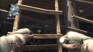 Famous Black Ops Insane Spawn Tomahawk! Profile