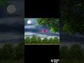 video moon tree ands 🙂🙂