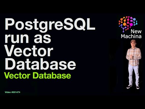 PostgreSQL as a Vector Database !