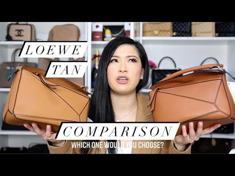 loewe puzzle bag dimensions