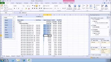 The Microsoft Excel pivot table explained - CLARIFIED for Clarizen