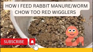 Red wigglers love rabbit manure #wormcomposting #redwigglers ￼