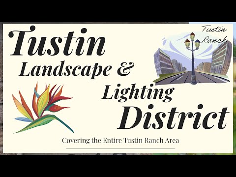 Tustin Detail