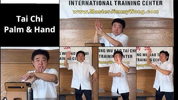 Tai Chi Wu Hao LIVE : Tai Chi Hand & Palm by Master Jimmy Wong