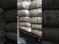 Noor clothe house || #fabrication #fabric #onlineshopping