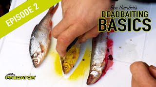 : PIKE DEADBAITING BASICS PT2: Learn how to hook deadbaits and use bait additives