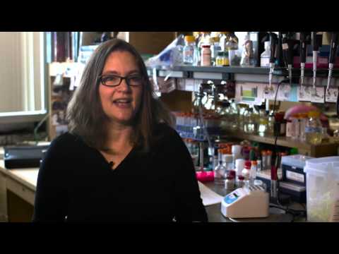 MIT: Spotlighting Contemporary Chemistry