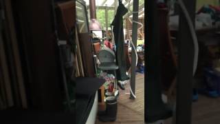 IMG 5694