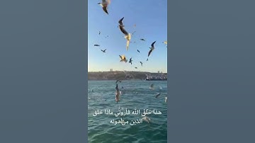 تلاوه هادئة تريح الأعصاب ارح سمعك 🎧😴القارئ :مصطفى جبل