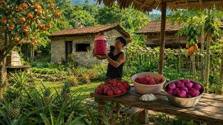 Living in the Forest, Gardening, Harvesting Ripe Dragon Fruit to Sell at the Village Market screenshot 1