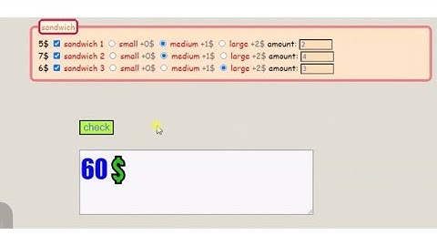 fieldset checkbox and radio button - HTML and CSS (part 1)