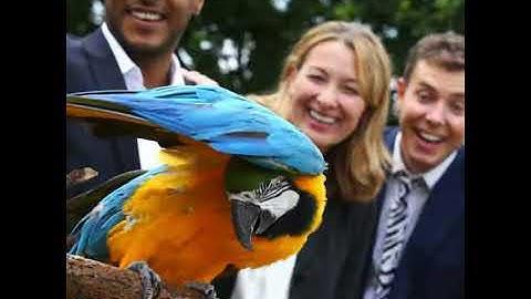 MEET BEYOND LONDON CONFERENCE & EVENT VENUE VIDEO