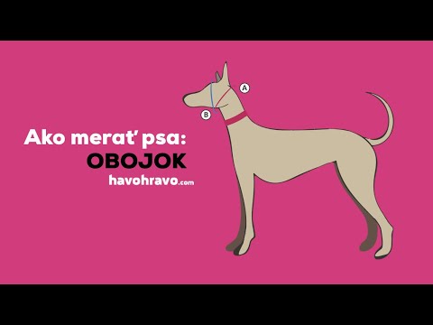 Video: Ako Dať Obojok Na Psa