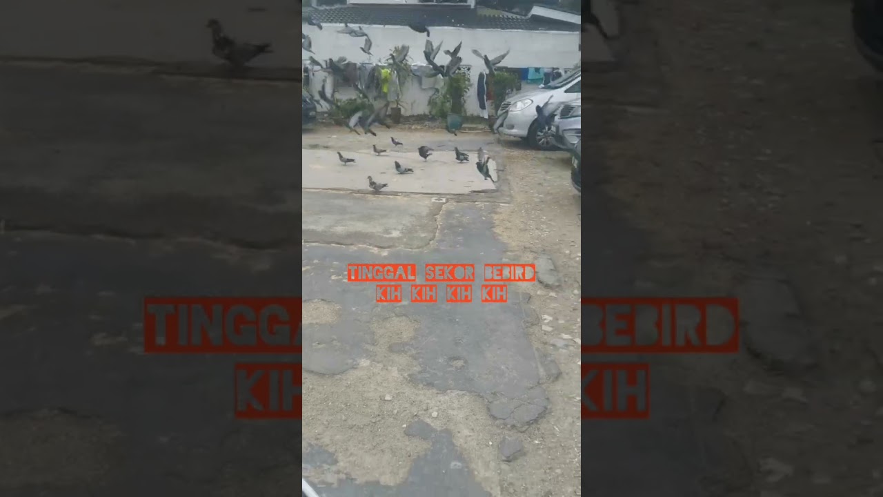 Suzuki Rider 150km shj, lebih disnapshot aes walanon, Layan lagu jela guys. 