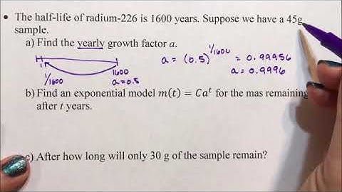Exponential Application - Half-Life