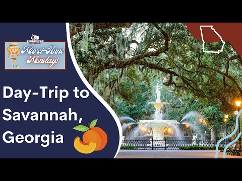 Video: Perjalanan Sehari Terbaik dari Savannah, Georgia