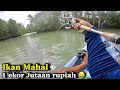 Casting Di Muara Pakai Kayak, Strike ikan Langka Berharga Jutaan Rupiah 🤩 Auto Kaya  !