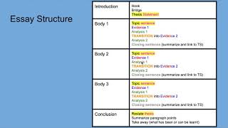 Task 3   The Essay Instructions