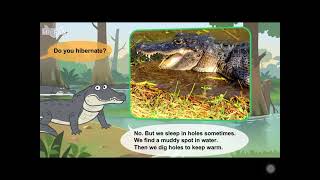 L2 051 Meet The Animals 51 American Alligator