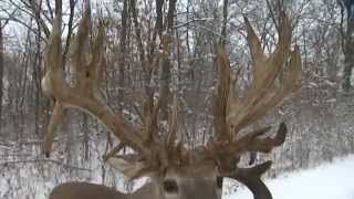 Whitetail Season: Trail Camera Scouting