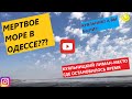 Куяльник-мертвое море в Одессе?)