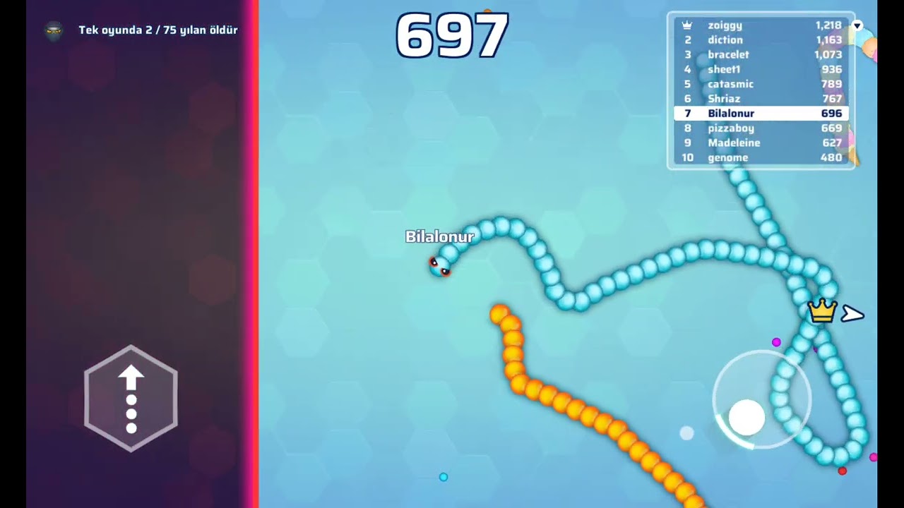 Oyun adı snake io