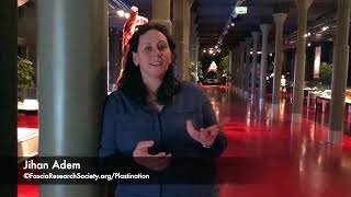 Fascial Net Plastination Project: Project Reflections with JIHAN ADEM Wealth