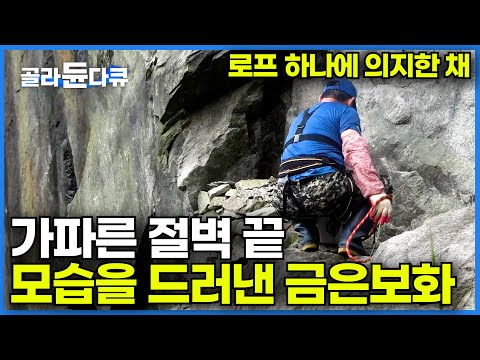 아찔한 절벽 위 생계를 위해 벼랑 끝에 서 있던 날들이 지금의 삶을 만들었다｜사람 한 명 없는 벼랑 끝에서만 만날 수 있는 값진 금은보화ㅣ극한직업│#골라듄다큐