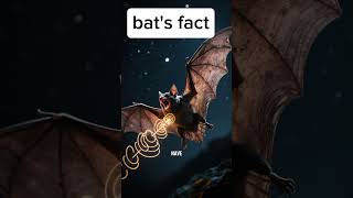 Bat Superpowers EXPOSED! 🔥 Hunt in Total Darkness | Wildlife Shorts”