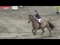 Port Royal Pony Premier | July 2017 | Junior 1.10m Open