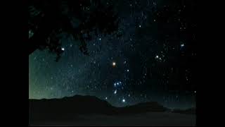 Loess - Pleuston Unofficial Video