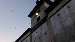 SP BLACK BIRD BEREAKSI DI DAERAH KELAPA KAMPIT