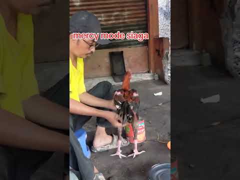 hanya kelas pinggiran saja, ketua....