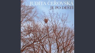 Je Po Dešti